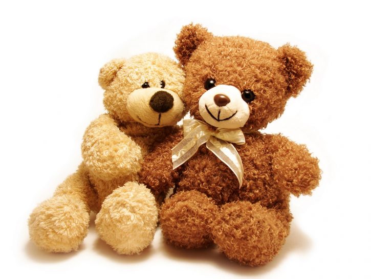  a picture of teddy bear signifying the infantilization of people with disabilities